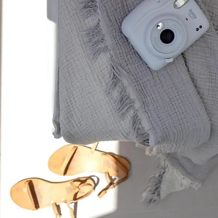 Polaroid Loft *