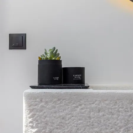 Polaroid Loft *